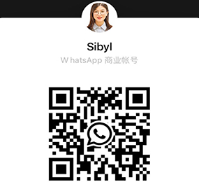 Sibyl QR